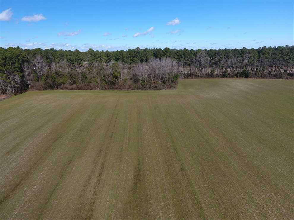 23.12 Acres of Residential land for sale in Chadbourn, columbus County, North Carolina
