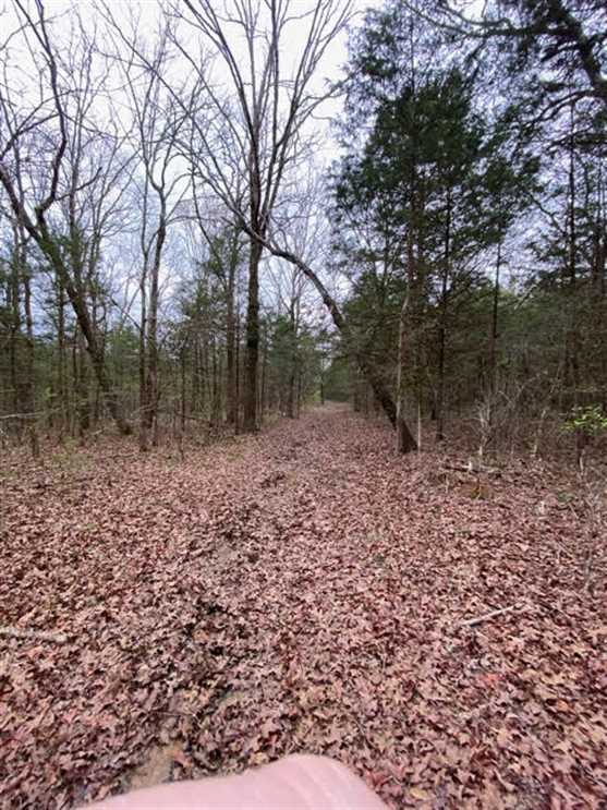 Property for sale at Rd 41