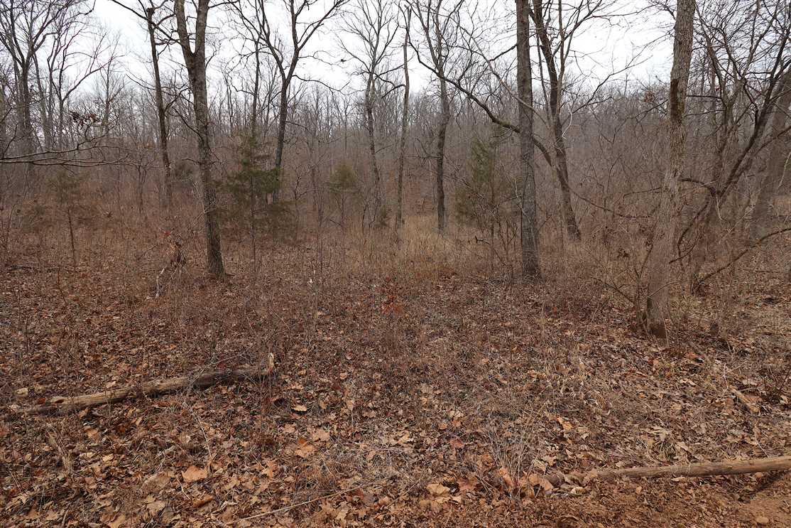 Houses and land for sale in Arkansas