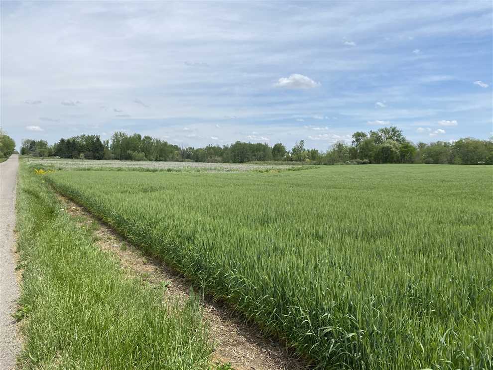 24 Acres- 12 Tillable- Great site for Home or Barn - S Cr 1000 W and W 650 S Daleville, IN Real estate listing