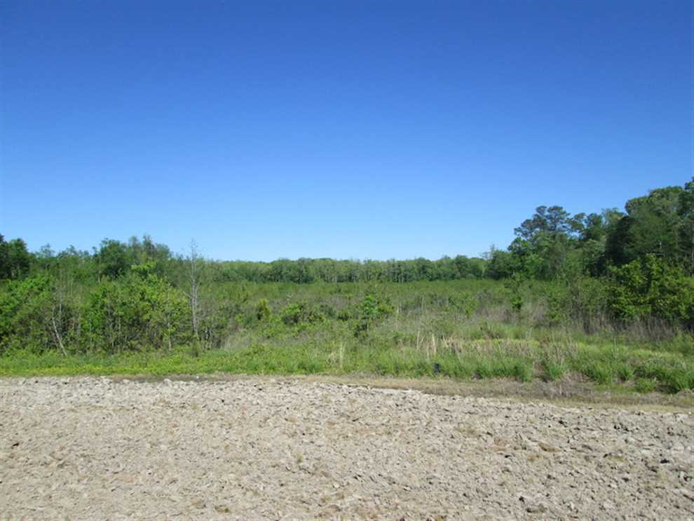 suffolk city County, Virginia property for sale