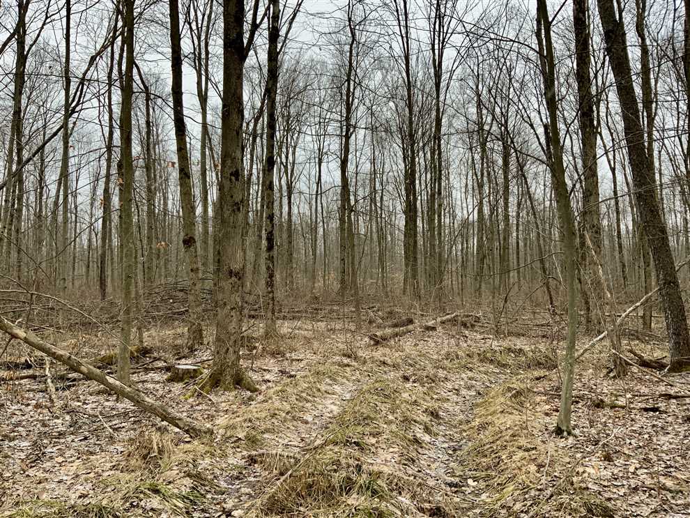 48 Acres of Recreational land for sale in Jamestown, mercer County, Pennsylvania