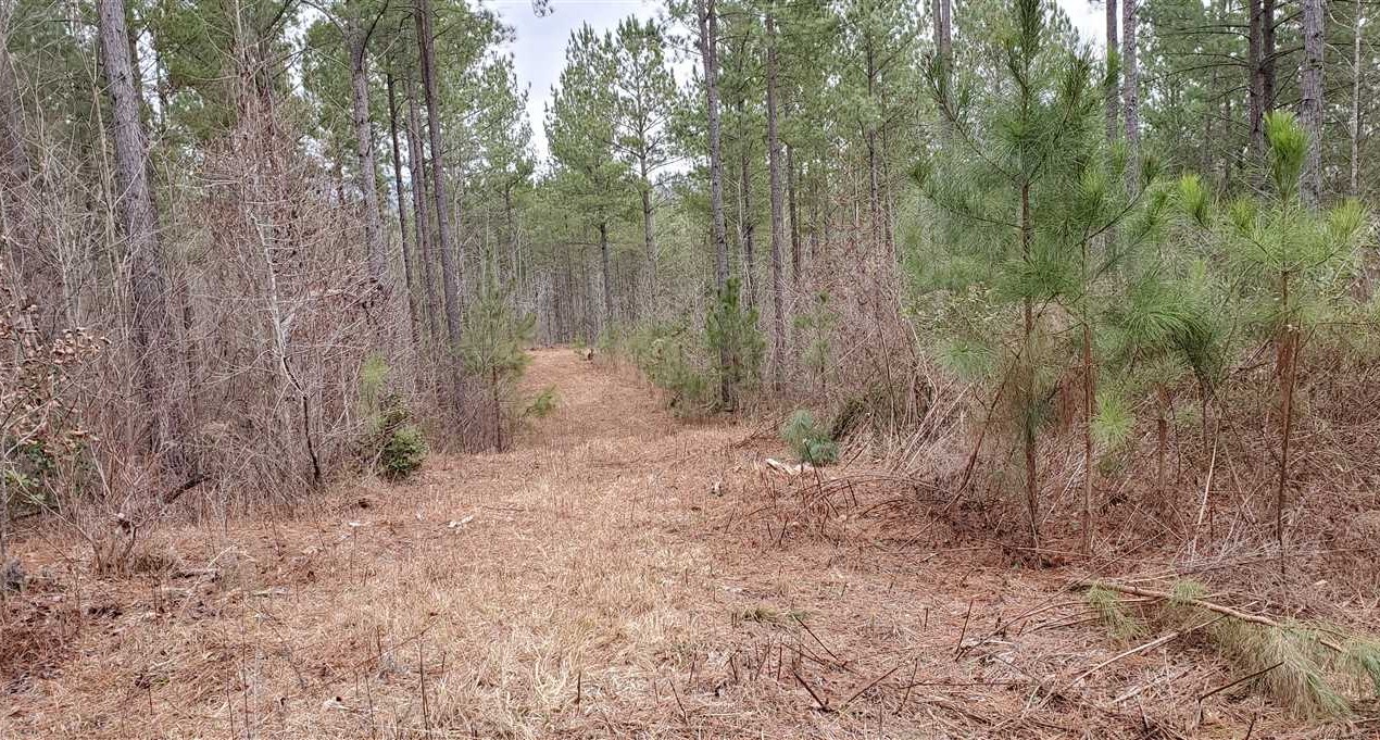 property for sale on The Land Market