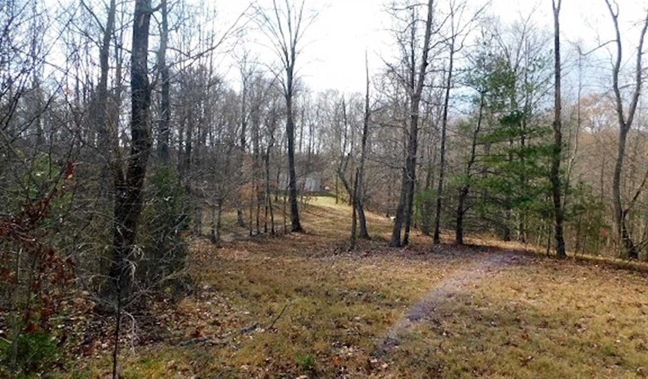 REDUCED! 19.32 Acres of Residential and Hunting Land For Sale in Bedford County VA! Real estate listing