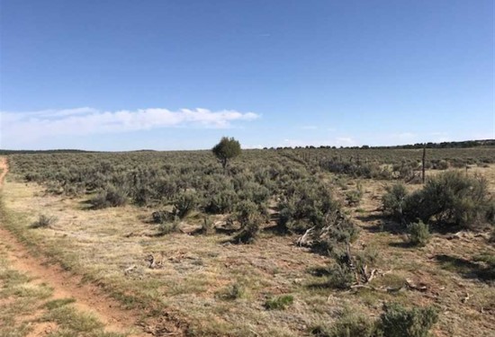 159 Acres of Land for Sale in rio arriba County New Mexico