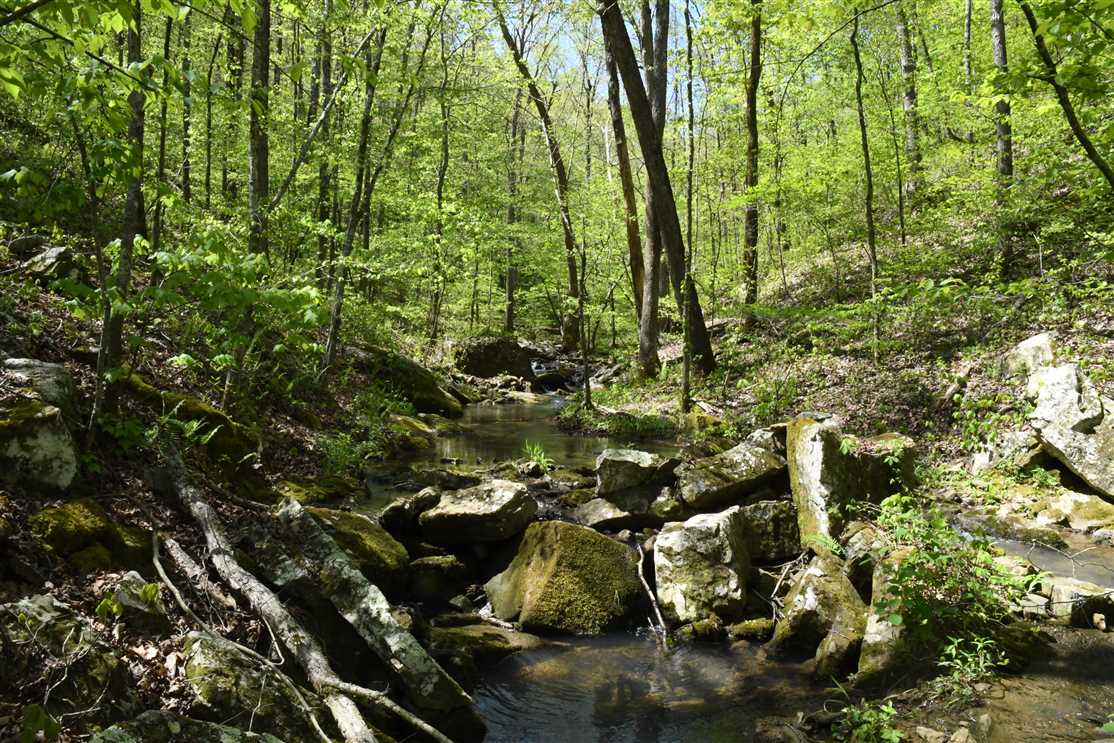 Timberland real estate available to buy