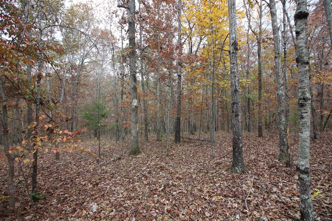 Land for sale to buy in 63901 zip code