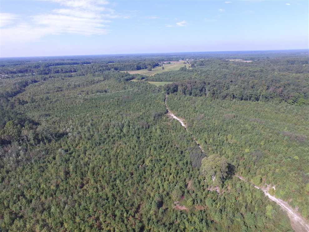 103 Acres of Residential land for sale in Dewitt, dinwiddie County, Virginia