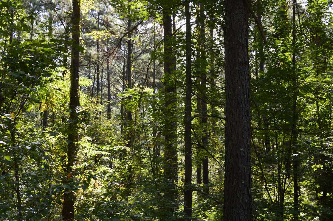 lawrence County, Mississippi property for sale