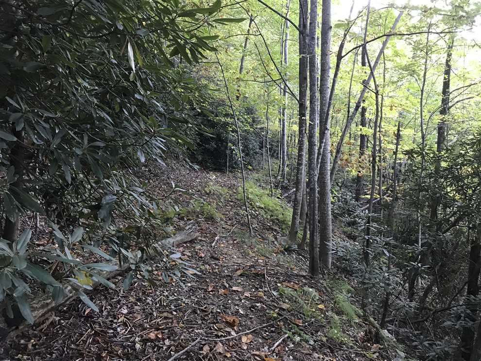 10.2 Acres of Residential land for sale in Lenoir, caldwell County, North Carolina