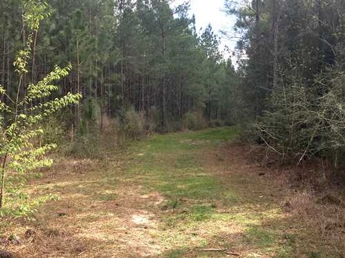 80.72 Acres of Land for Sale in beauregard County Louisiana