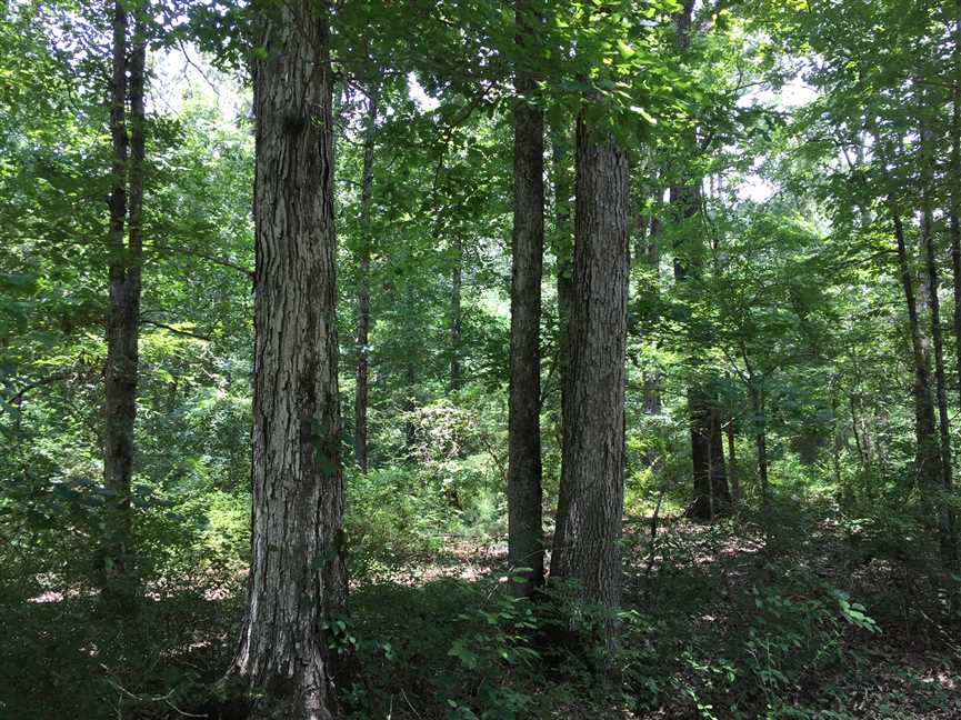 240 Acres of Land for sale in ouachita County, Louisiana
