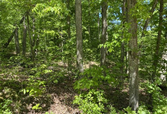 0.21 Acres of Land for Sale in wayne County Missouri