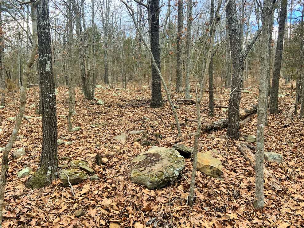 washington County, Arkansas property for sale