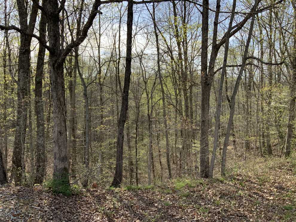 4.97 Acres of Residential land for sale in Waverly, humphreys County, Tennessee