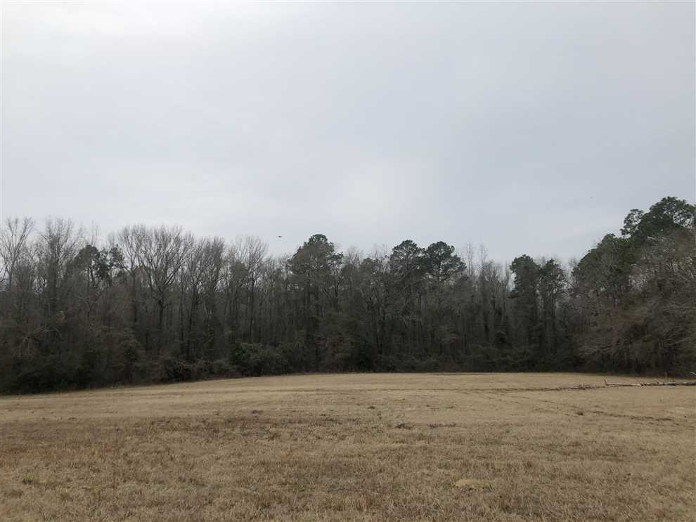 Excellent Recreational Tract!!! Real estate listing