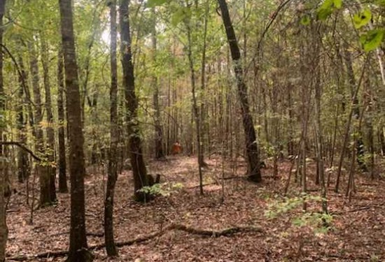 14.8 Acres of Land for Sale in lee County Mississippi
