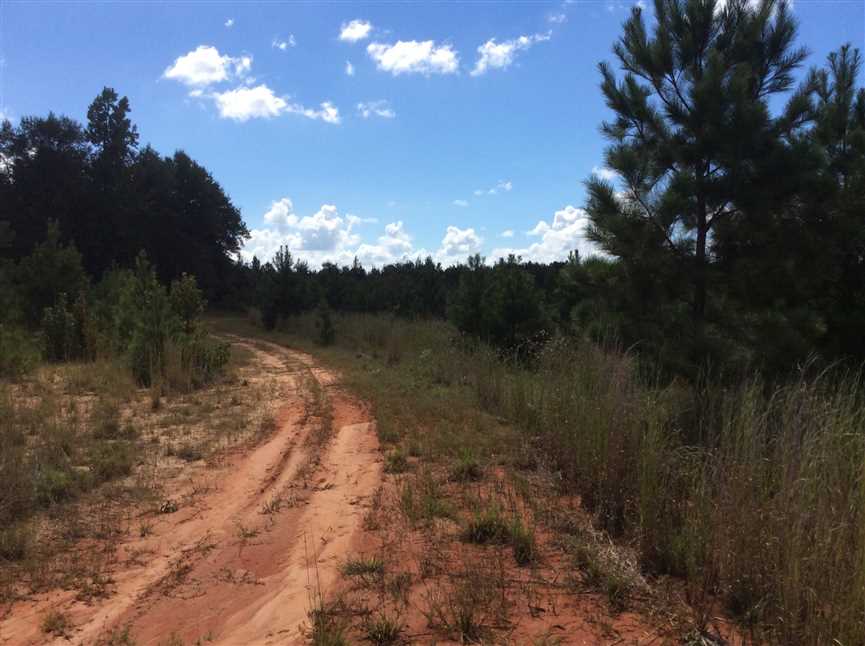 72.66 Acres of Recreational land for sale in Atlanta, winn County, Louisiana