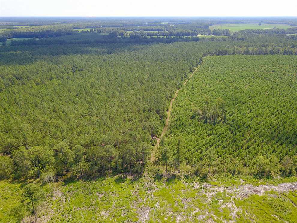 Houses and land for sale in North Carolina