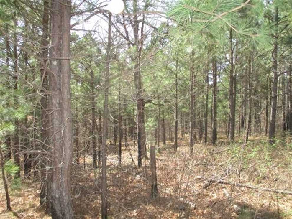 Secluded Wooded Hunter's Getaway In Clayton, Pushmataha County, OK 10 AC Real estate listing