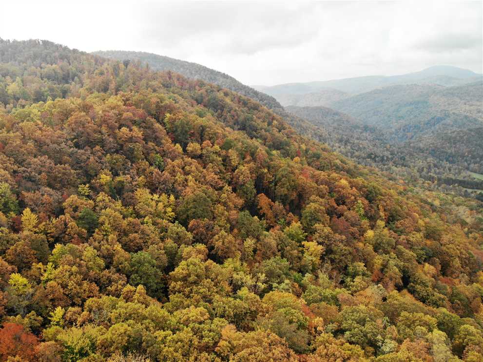 buncombe County, North Carolina property for sale