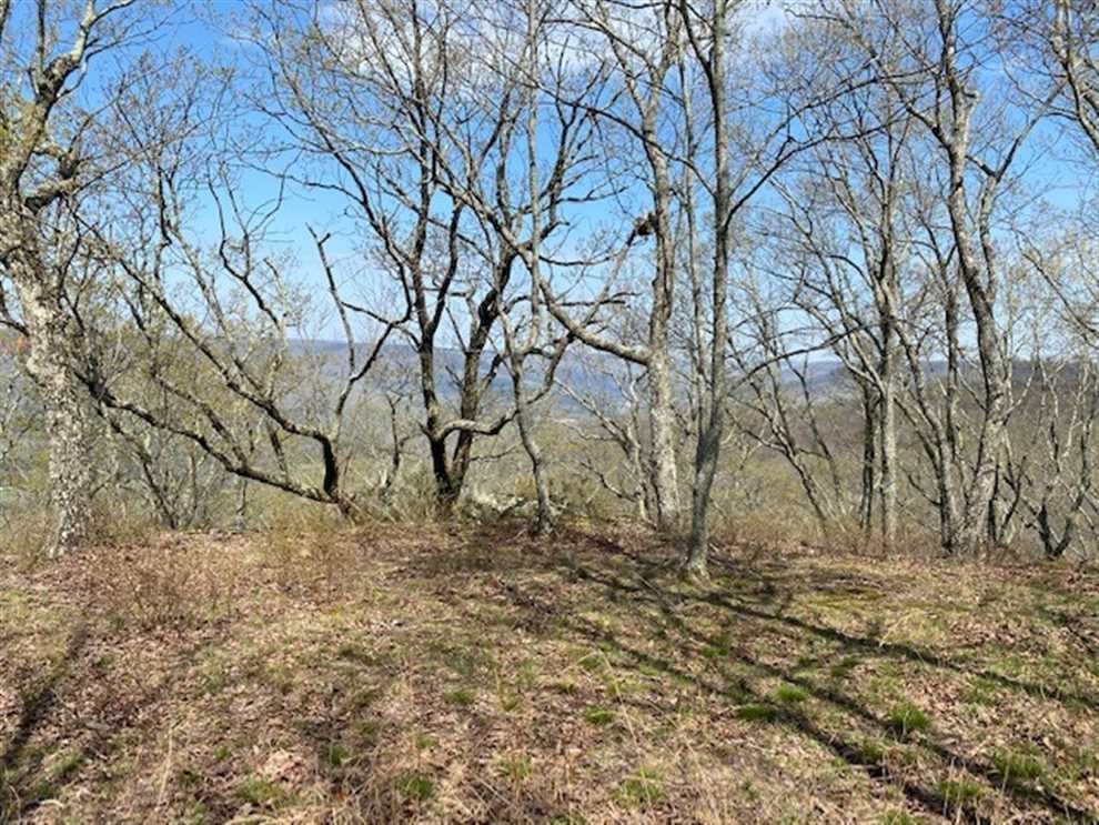 69.01+/-acres located on top of the beautiful South Pittsburg Mountain Real estate listing