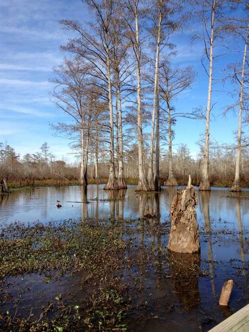 alcorn County, Mississippi property for sale