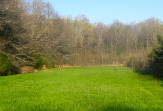 120 Acres of Land for Sale in west carroll County Louisiana