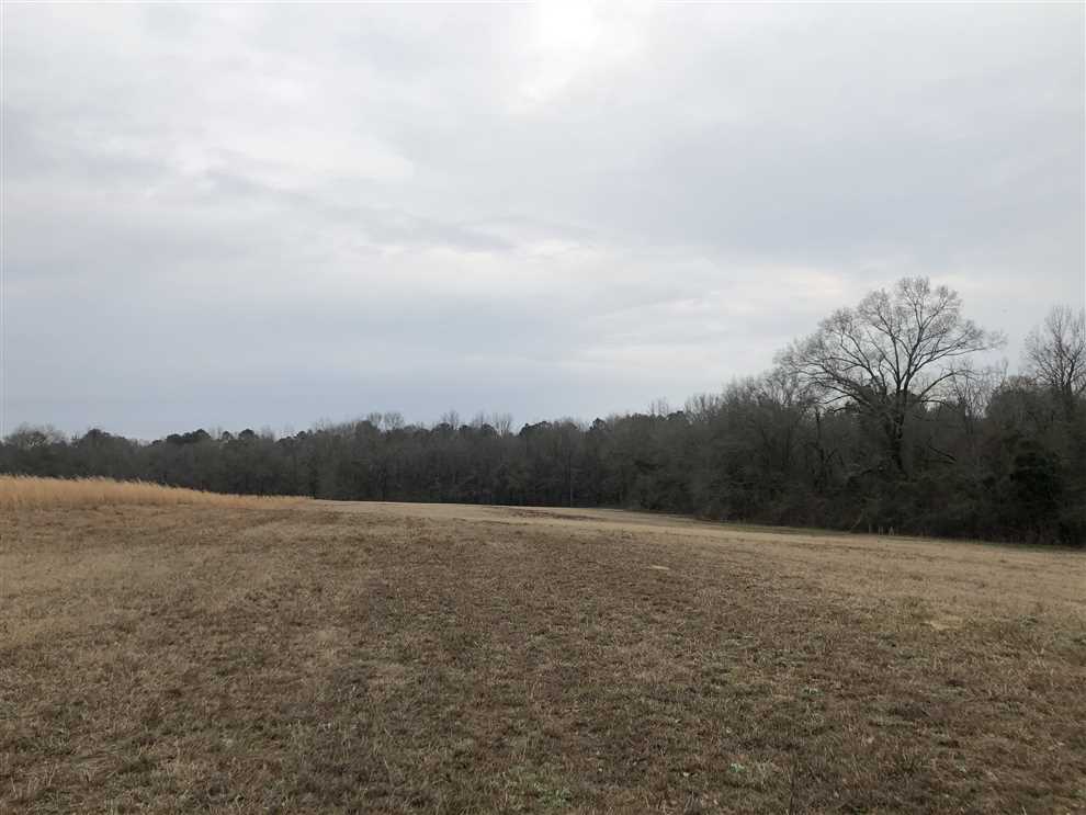 66.64 Acres of Recreational land for sale in nunez, emanuel County, Georgia