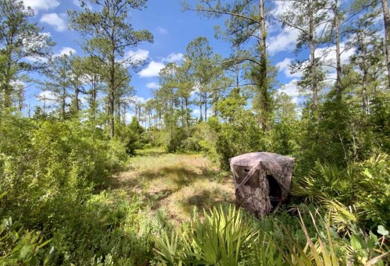 42.09 Acres of Land for Sale in madison County Florida