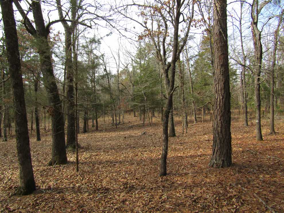 Property for sale at 193831 N 4200 Road