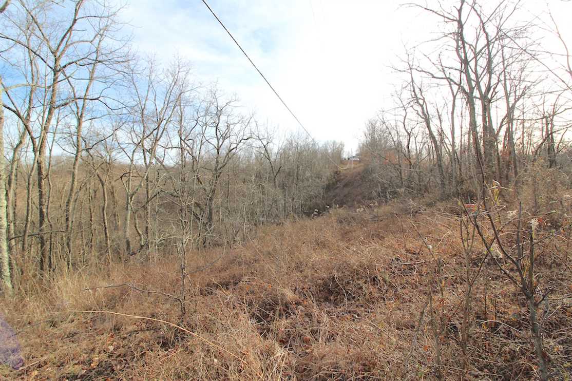 Land for sale at 11475 Hook Rd
