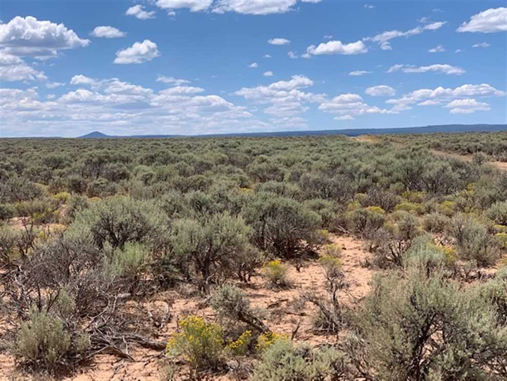 Land for sale at OFF OF NM ST HWY EAST 64