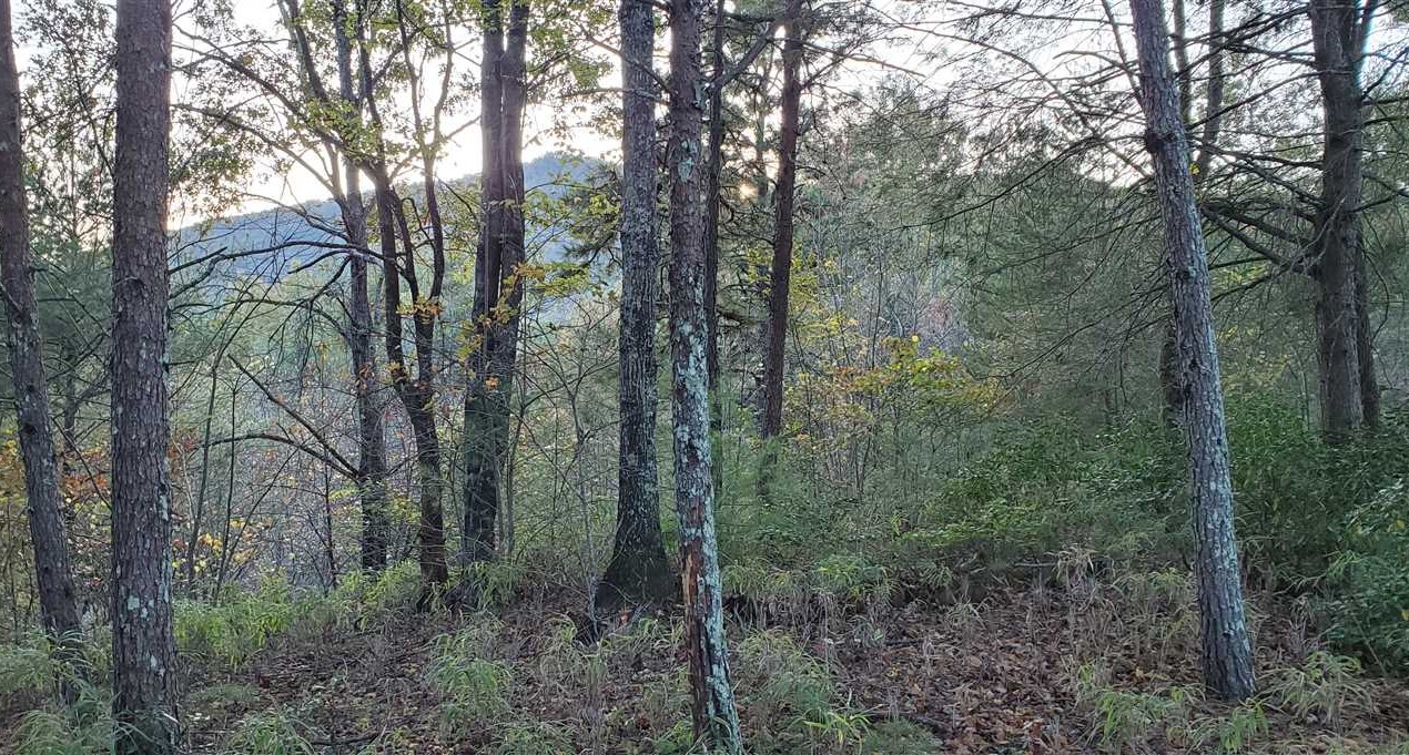 caldwell County, North Carolina property for sale