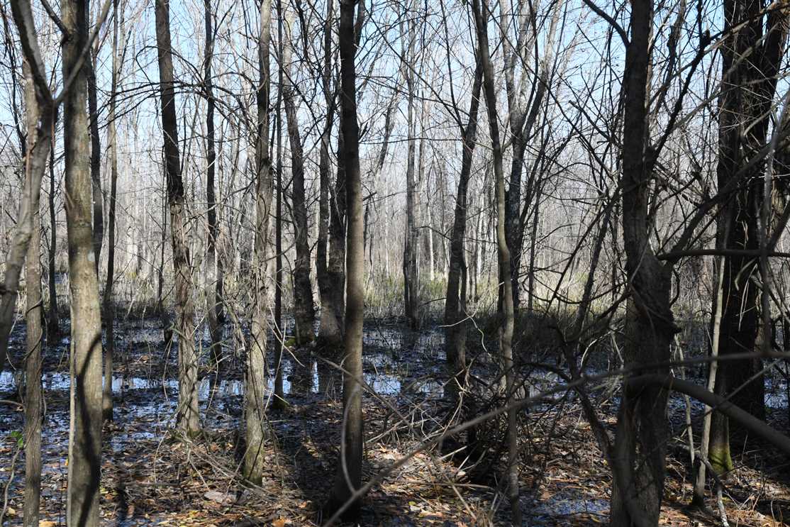 Recreational and   property for sale on The Land Market