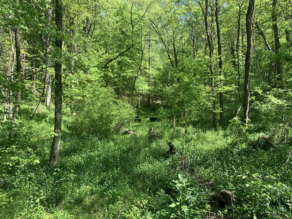 Houses and land for sale in North Carolina
