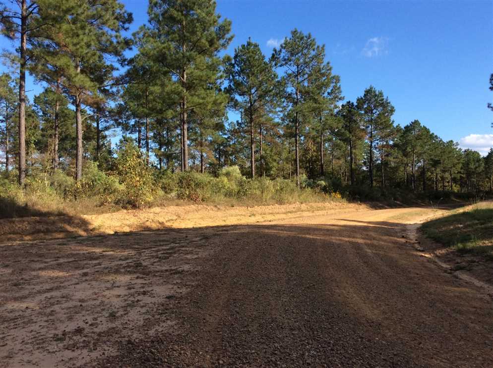 caldwell County, Louisiana property for sale