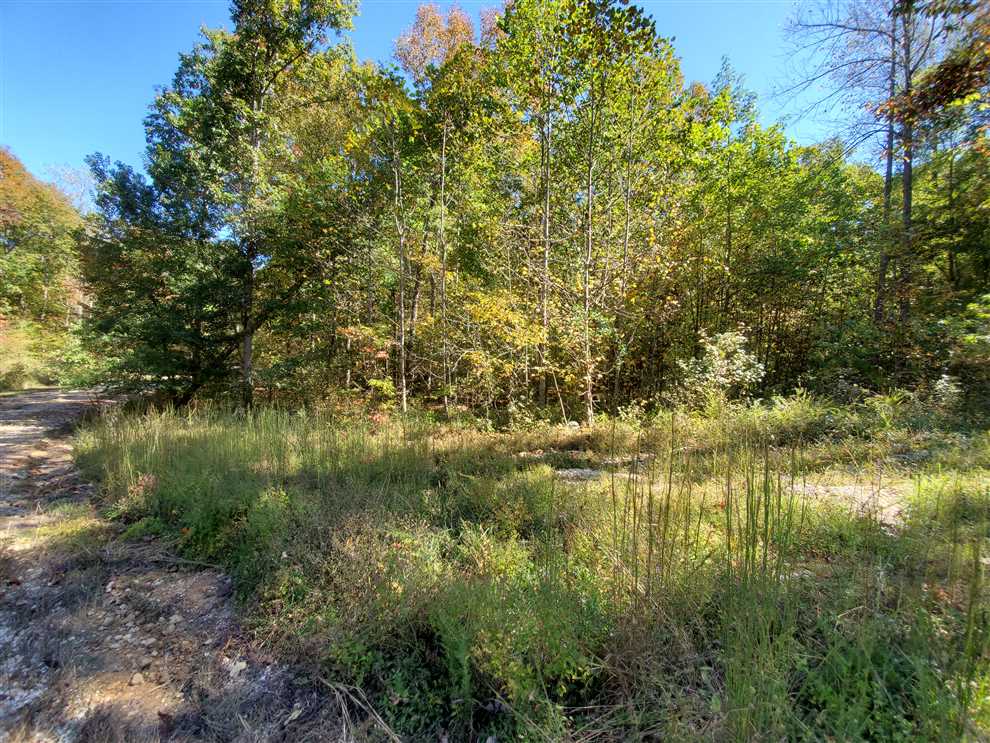 6.15 Acres of Residential land for sale in Hurricane Mills, humphreys County, Tennessee
