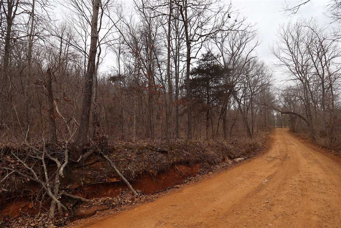 Land for sale at