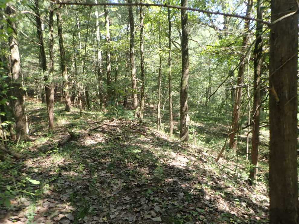 Land for sale to buy in 39759 zip code
