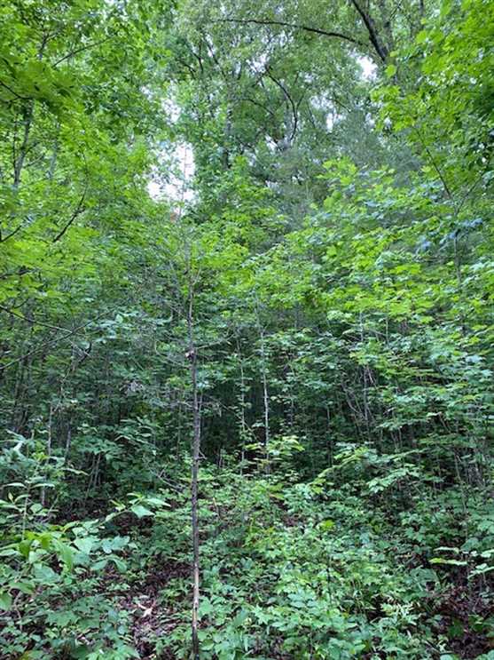 12.34 Acres of Residential land for sale in Guild, marion County, Tennessee