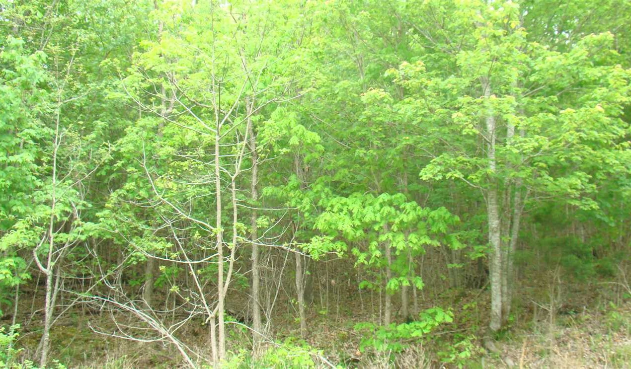 property for sale on The Land Market
