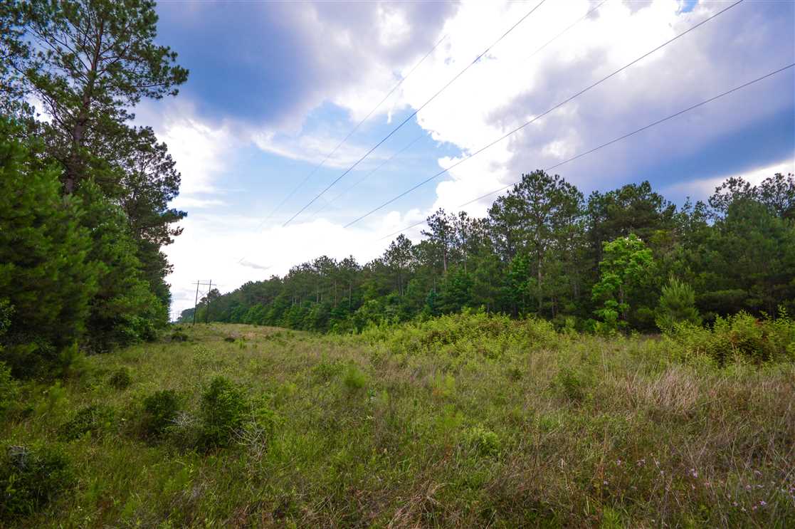 Land for sale at