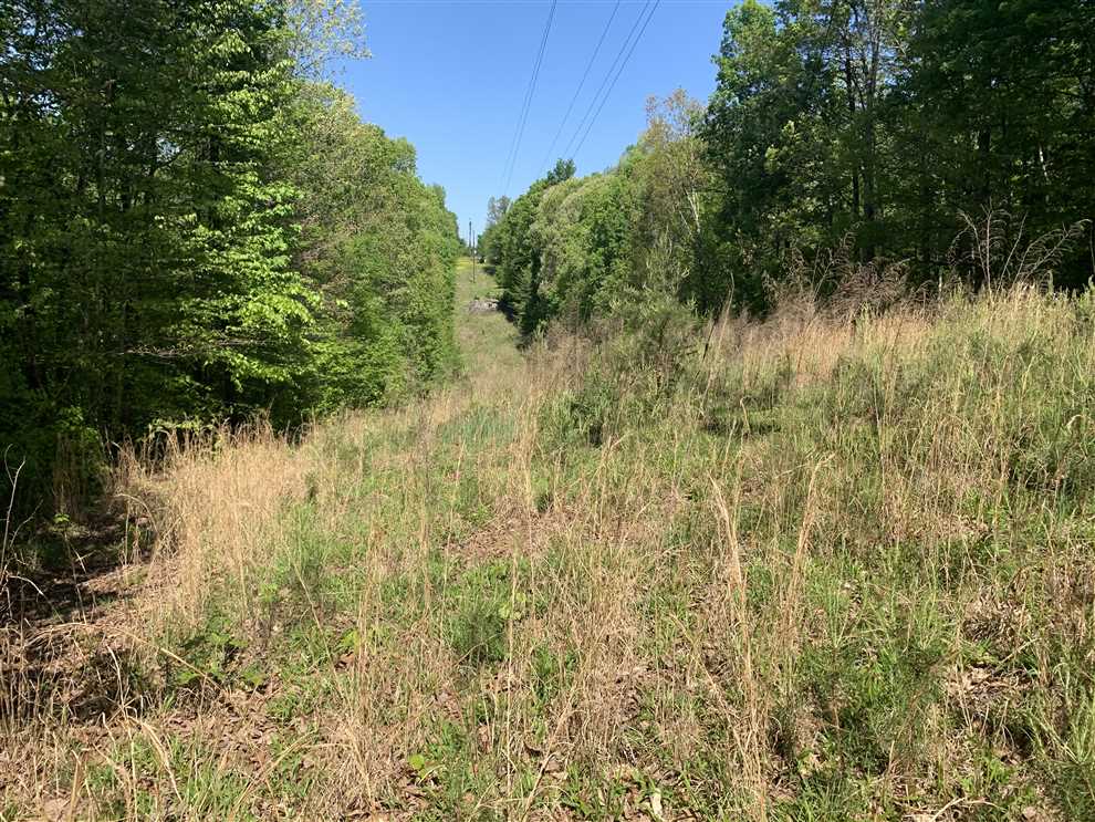 randolph County, North Carolina property for sale