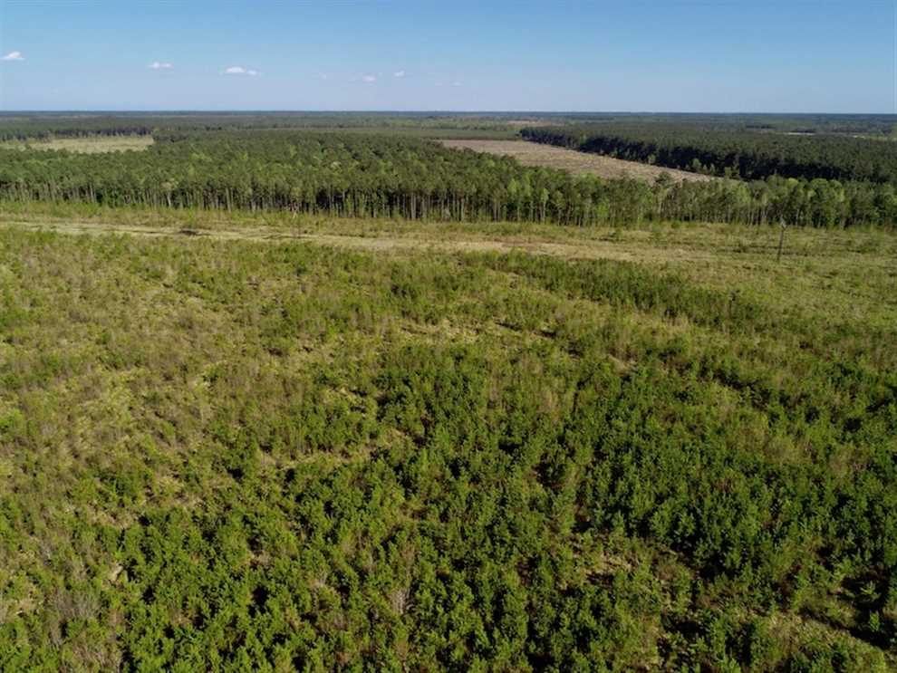 218 Acres of Land for sale in gates County, North Carolina