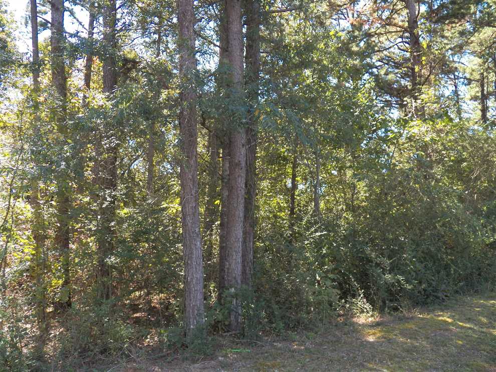 7 acres Close to Greers Ferry Lake Real estate listing