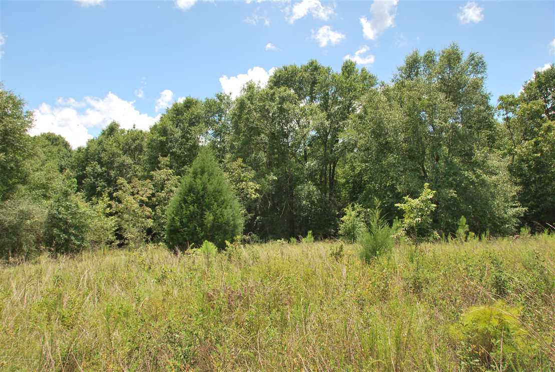 Beautiful Wooded 194 Acres Real estate listing