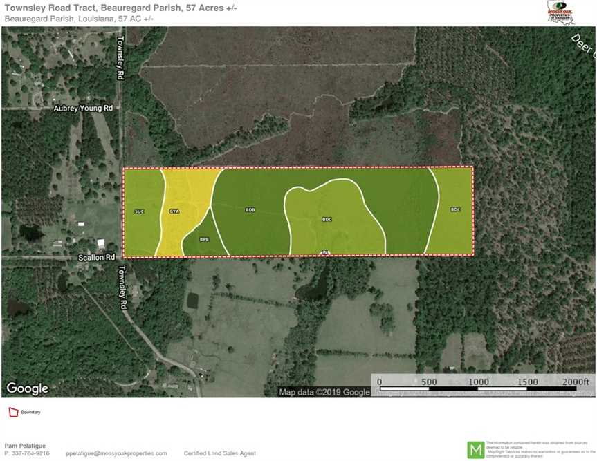 Land for sale at