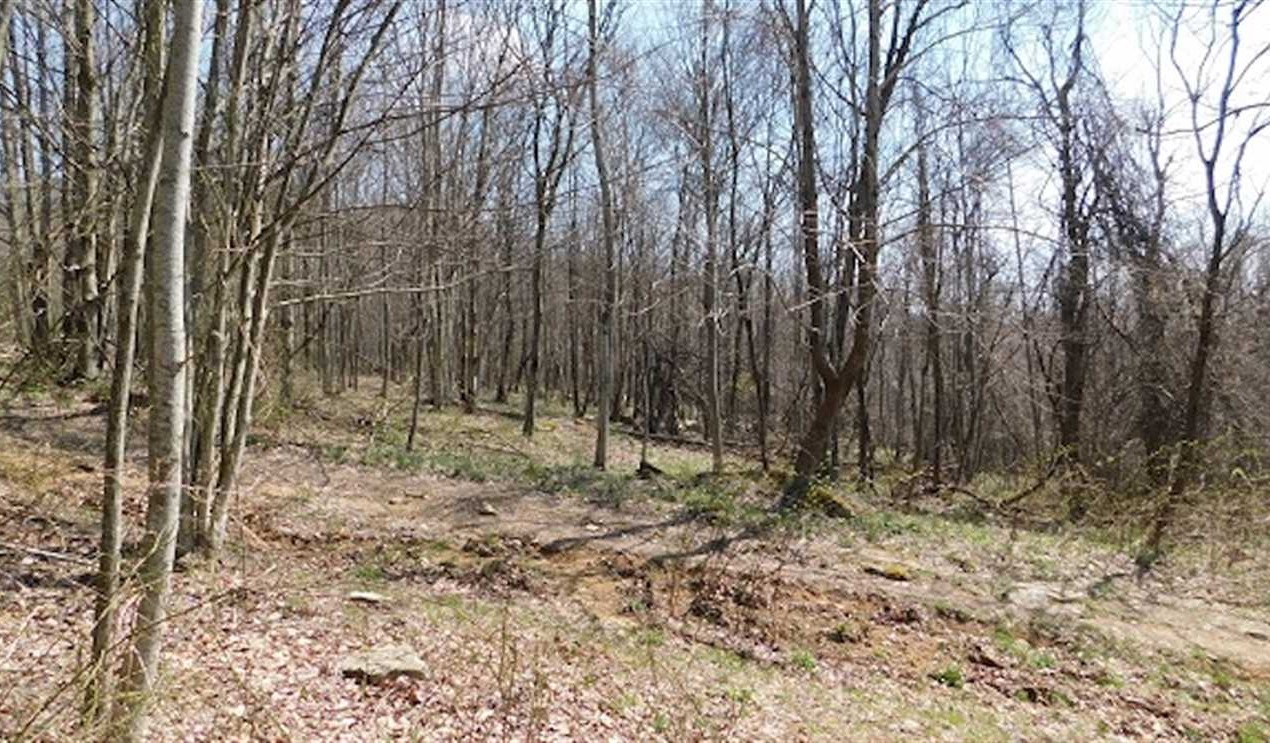 Property for sale at US Hwy 19