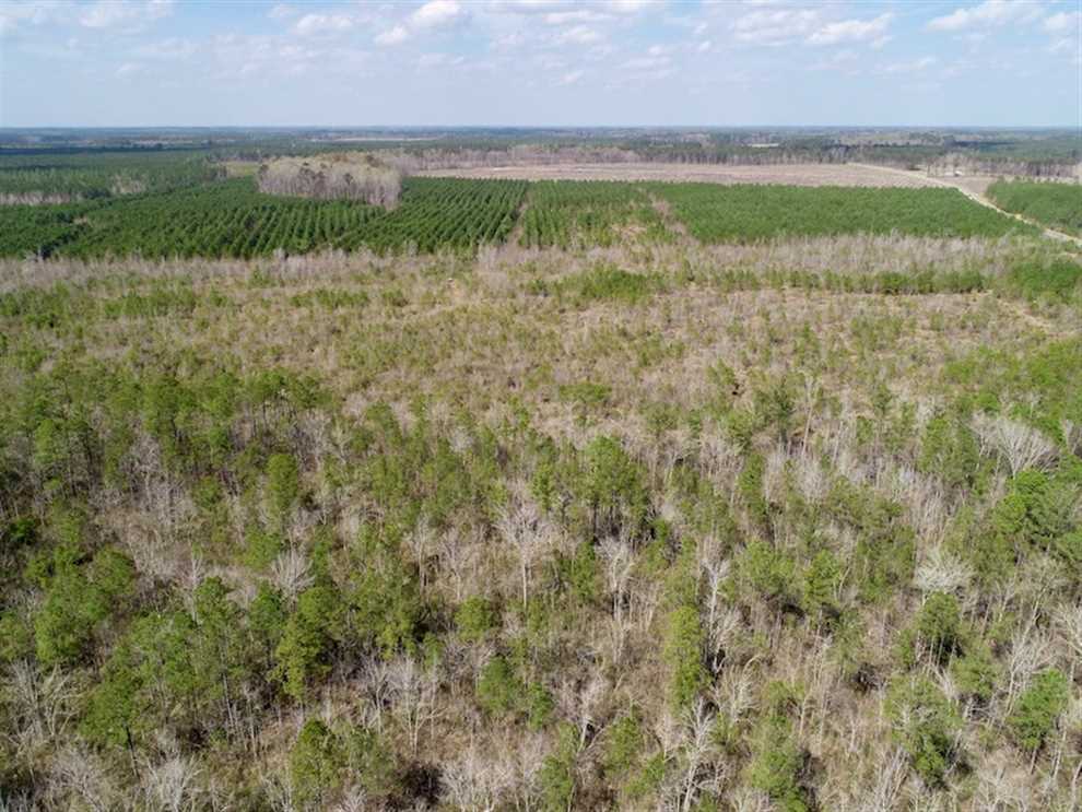 Land for sale at Off Thoroughfare Rd
